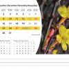 Calendrier de bureau Flowers 2025 – Décembre