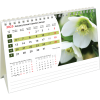 Calendrier de bureau Flowers 2025 – Janvier