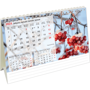 Calendrier de bureau Beautiful Nature 2025 - Janvier