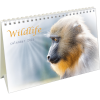 Calendrier de bureau Wildlife 2025