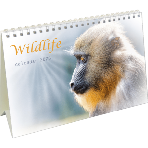 Calendrier de bureau Wildlife 2025