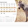 Calendrier de bureau Wildlife 2025 – Avril