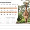 Calendrier de bureau Wildlife 2025 – Août