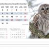 Calendrier de bureau Wildlife 2025 – Décembre