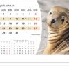 Calendrier de bureau Wildlife 2025 – Juillet