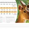 Calendrier de bureau Wildlife 2025 – Novembre