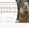 Calendrier de bureau Wildlife 2025 – Septembre