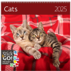 Calendrier Cats 2025