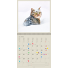 Calendrier Cats 2025 – Janvier