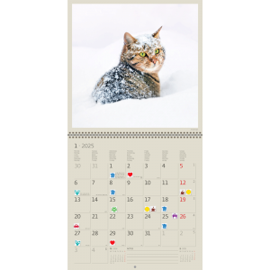 Calendrier Cats 2025 - Janvier