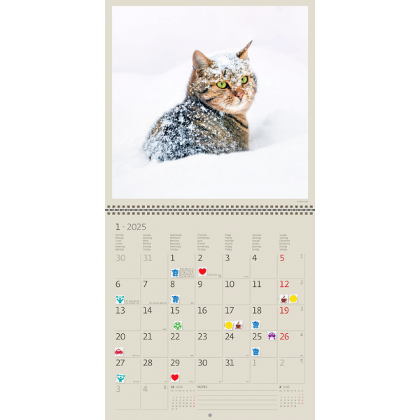 Calendrier Cats 2025 - Janvier