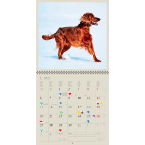 Calendrier Dogs 2025 - Janvier