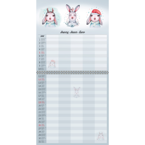 Calendrier Family Planner 2025 - janvier