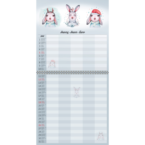 Calendrier Family Planner 2025 - janvier