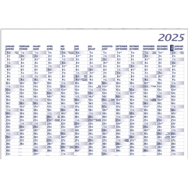 Planning annuel 2025