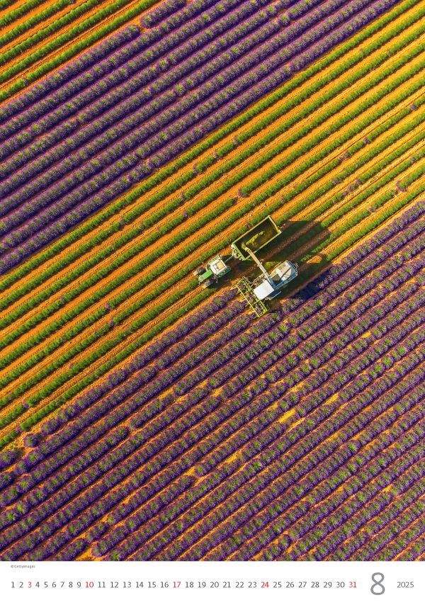 Calendrier Provence 2025 - Août