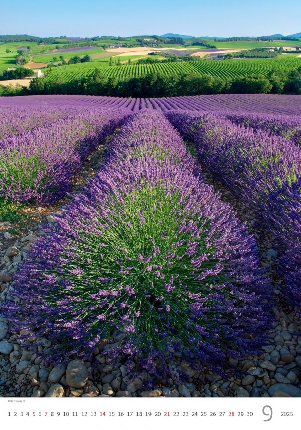 Calendrier Provence 2025 - Septembre