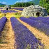 Calendrier Provence 2025 – Octobre