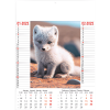 Calendrier Wild & Free 2025