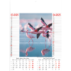 Calendrier Wild & Free 2025 – page 2