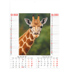 Calendrier Wild & Free 2025 – page 3