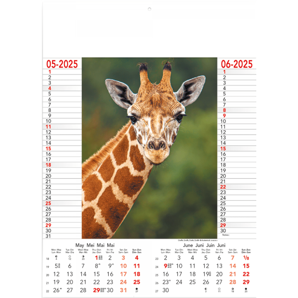 Calendrier Wild & Free 2025 - page 3