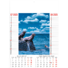 Calendrier Wild & Free 2025 – page 4