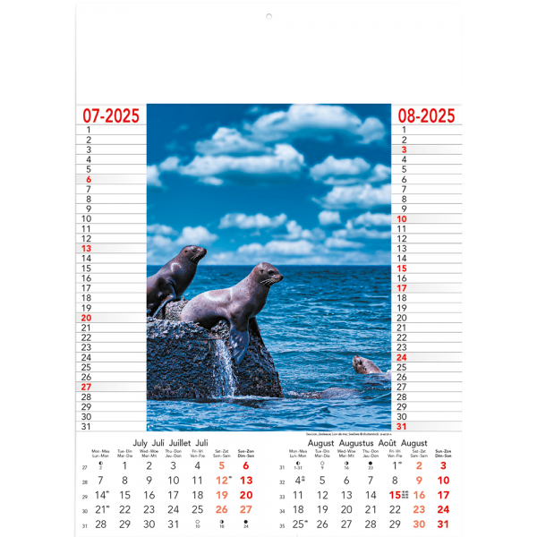 Calendrier Wild & Free 2025 - page 4