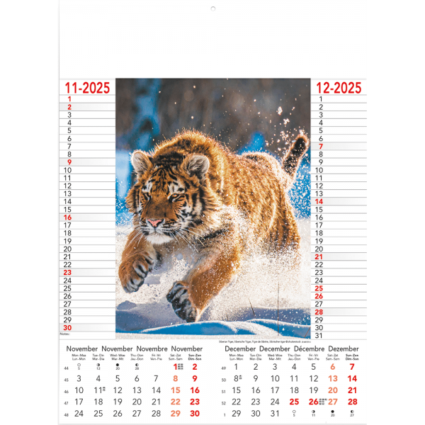 Calendrier Wild & Free 2025 - page 6